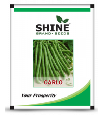 Pole Beans Carlo 500 grams